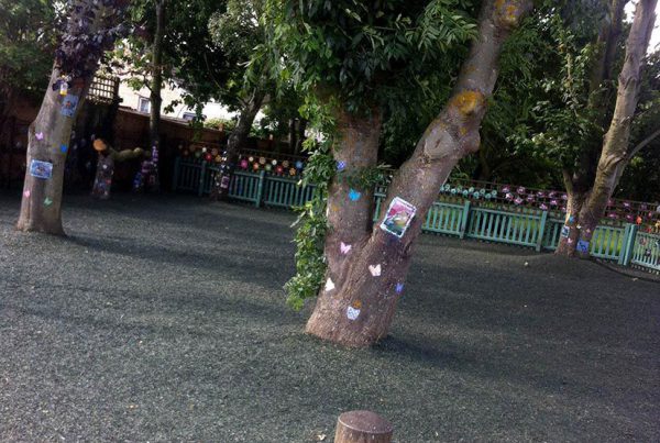 Rubber-mulch-installed-under-trees-in-nursery-playground